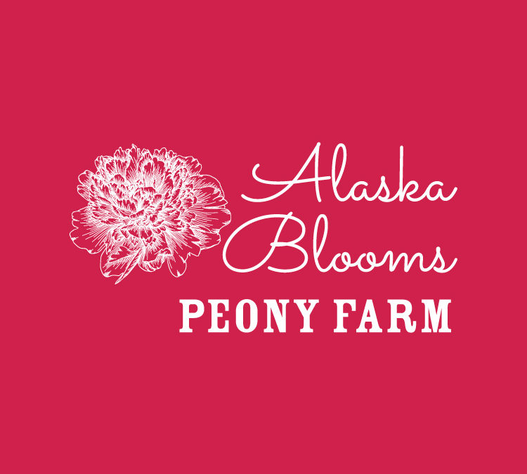 Alaska Blooms Peony Farm