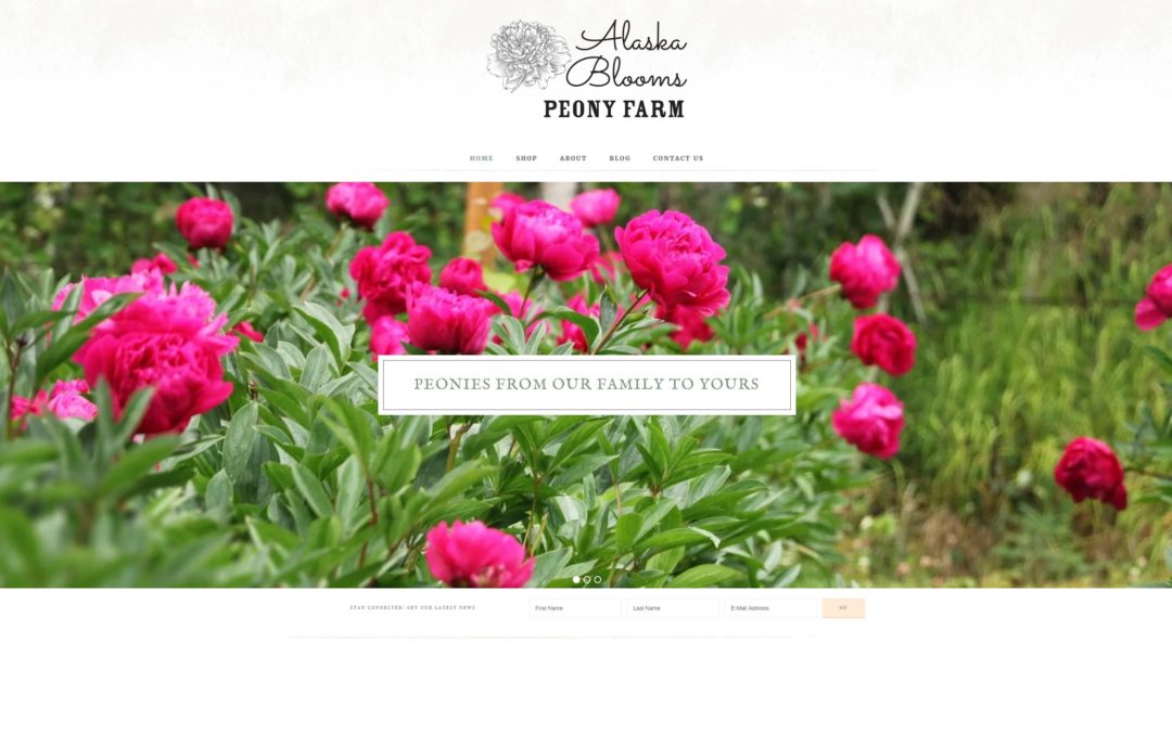 Client Feature: Alaska Blooms Website Revamp Highlights New Products on a Beautiful Farm BackDrop