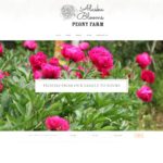 Developing a light, simple website for this peony farm in Alaska created a platform for the beautiful work to shine through and encourage people to subscribe to the farm products.