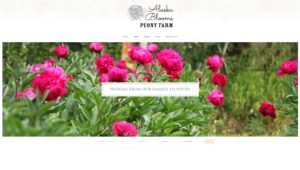 Developing a light, simple website for this peony farm in Alaska created a platform for the beautiful work to shine through and encourage people to subscribe to the farm products.